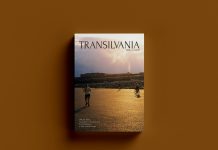 Comparative Literature and World Literature in East-Central Europe: An Introduction